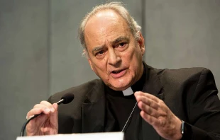 Bischof Marcelo Sánchez Sorondo / CNA / Daniel Ibanez