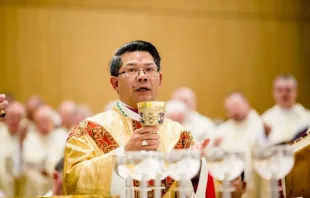 Bischof Vinzenz Long Van Nguyen am 16. Juni 2016. / Diözese von Parramatta