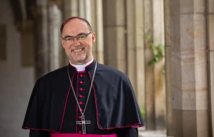 Weihbischof Rolf Lohmann / Bistum Münster / Achim Pohl