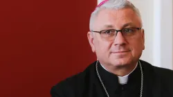 Bischof Artur Mizinski / Episkopat.pl