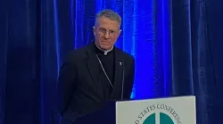 Erzbischof Timothy Broglio / Joe Bukuras / CNA