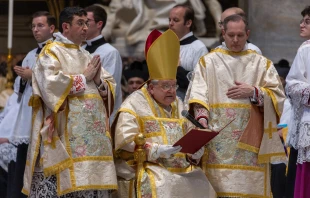 Kardinal Raymond Burke im Petersdom / Daniel Ibáñez / EWTN News