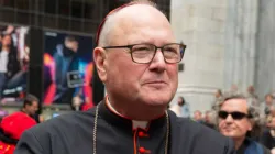 Kardinal Timothy Dolan, Erzbischof von New York / lev radin / Shutterstock
