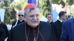 Kardinal Raymond Leo Burke beim Marsch für das Leben in Rom, Italien, 10. Mai 2015 /  Martha Calderon/CNA Deutsch