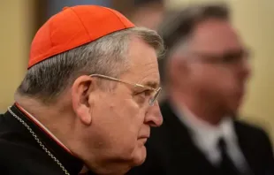 Kardinal Raymond Burke hört bei der Präsentation des neuen Buches Christvs Vincit von Bischof Athanasius Schneider in Rom am 14. Oktober 2019 zu.  / Daniel Ibáñez / ​CNA Deutsch