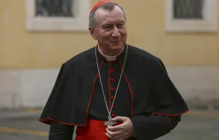 Kardinal Pietro Parolin (60) leitet das "Aussenministerium" des Vatikans.  / CNA/Daniel Ibanez
