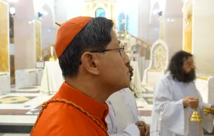 Blick auf das Antlitz Gottes: Kardinal Tagle in Manoppello / EWTN.TV / Paul Badde