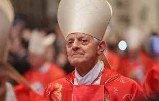 Kardinal Donald Wuerl / Archdiocese of Boston / Flickr (CC BY NC 2.0)