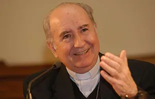 Kardinal Errazuriz / ontificia Universidad Catolica de Chile CC 2.0