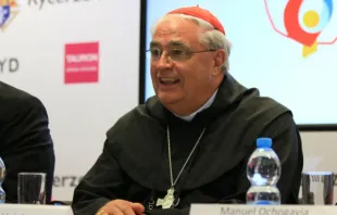 Kardinal José Luis Lacunza Maestrojuán bei der Presse-Konferenz am 31. Juli 2016. / CNA/Kate Veik