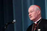 Kanadischer Kardinal: Frauen sollten Priester ausbilden 