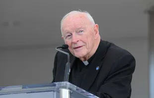 Kardinal McCarrick  / US Institute of Peace CC BY-NC-2.0