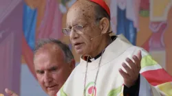 Kardinal Gracias feiert die heilige Messe beim Weltfamilientreffen am 22. August 2018 / Rudolf Gehrig / EWTN 