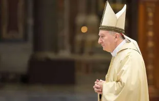 Kardinal Pietro Parolin / CNA Deutsch / Daniel Ibanez