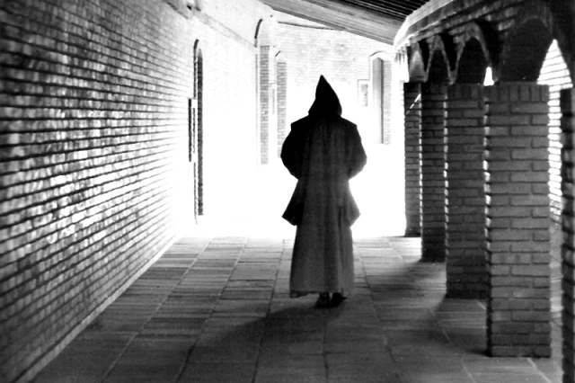 Dionysius der Kartäuser und seine „Aufmunterung für Neulinge“ im Ordensleben