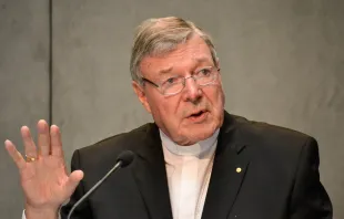 Kardinal George Pell spricht bei einer Presse-Konferenz im Vatikan am 9. Juli 2014.
 / CNA/Daniel Ibanez