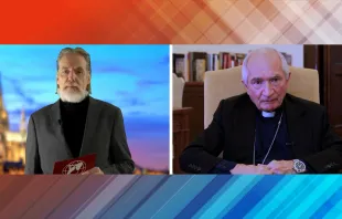 Christian Peschken im Gespräch mit Kardinal Tomasi / Screenshot