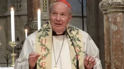 Kardinal Christoph Schönborn OP / screenshot / YouTube / Stift Heiligenkreuz