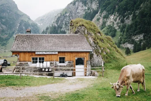 Genossenschaften sind im Alpenraum keine Seltenheit. Weltweit sind nach einer Untersuchung des Jahres 2012 etwa eine Milliarde Menschen Mitglied einer solchen "Cooperative". / Claudio Schwarz / Unsplash (CC0) 