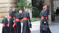 Kardinäle bei der Ankunft in Rom, 2013 / CNA / www.InterMirifica.net