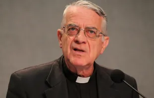 Pater Federico Lombardi SJ / CNA/David Uebbing