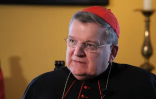 Kardinal Burke im September 2014 / CNA/Joaquin Peiro Perez