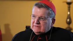 Kardinal Burke im September 2014 / CNA/Joaquin Peiro Perez