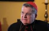 Kardinal Burke: Papst muss im Zweifelsfall deutsche Bischöfe "ihres Amtes entheben"