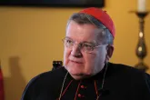 Kardinal Burke: Papst muss im Zweifelsfall deutsche Bischöfe "ihres Amtes entheben"