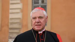 Kardinal Gerhard Ludwig Müller vor der Synodenhalle am 13. Oktober 2014 nach einer Sitzung der Familiensynode. / CNA / Daniel Ibanez
