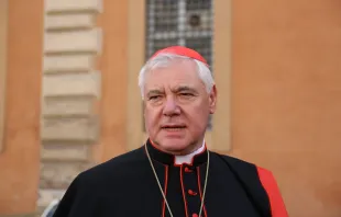 Kardinal Gerhard Ludwig Müller vor der Synodenhalle am 13. Oktober 2014 nach einer Sitzung der Familiensynode. / CNA / Daniel Ibanez