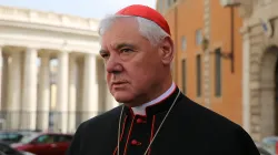 Kardinal Müller vor der Synodenhalle während der Familiensynode am 13. Oktober 2014 / CNA/Daniel Ibanez