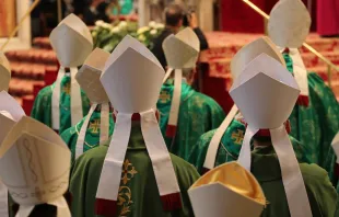 Bischöfe in bei einer Messe im Petersdom / CNA/Daniel Ibanez