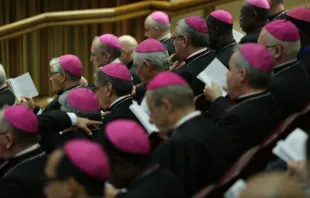 Treffen der Kardinäle und Bischöfe am 14. Oktober 2015 in der Synodenhalle. / CNA Deutsch / Daniel Ibanez
