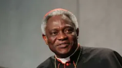 Kardinal Peter Turkson / CNA / Daniel Ibanez