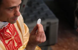 Ein Priester mit dem Leib Christi am Fest der Heiligen Familie im Petersdom am 27. Dezember 2015 / Alexey Gotovskiy / CNA Deutsch 