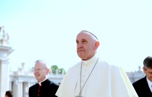 Papst Franziskus auf dem Petersplatz am 30. April 2016.
 / CNA/Alexey Gotovskiy