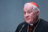Kardinal Ouellet antwortet mit Offenem Brief auf Erzbischof Vigano 
