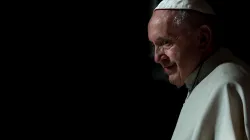 "Die Frohe Botschaft ohne Beruhigungsmittel verkünden": Papst Franziskus / CNA/Daniel Ibanez