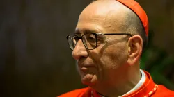 Kardinal Juan José Omella / CNA / Daniel Ibanez