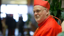 Der schwedisch Kardinal Anders Arborelius wird Mitglied des Päpstlichen Rats zur Förderung der Einheit der Christen. / CNA / Daniel Ibanez
