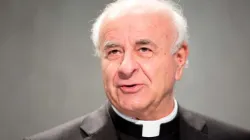 Erzbischof Vincenzo Paglia bei einer Pressekonferenz im Vatikan / Daniel Ibanez / CNA Deutsch 