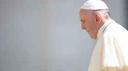 Papst Franziskus / Daniel Ibanez / CNA