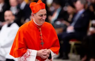Kardinal Matteo Zuppi, Erzbischof von Bologna, Italien, im Petersdom am 5. Oktober 2019.  / Daniel Ibáñez / CNA Deutsch 