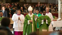 Papst Franziskus bei der Heiligen Messe im Petersdom am 13. November 2016. / CNA/Daniel Ibanez