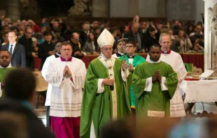 Papst Franziskus bei der Heiligen Messe im Petersdom am 13. November 2016. / CNA/Daniel Ibanez