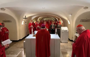 Deutsche Bischöfe im Petersdom, 14. November 2022 / Deutsche Bischofskonferenz / Matthias Kopp