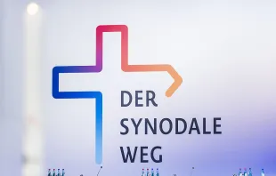 Synodaler Weg / Synodaler Weg / Max von Lachner