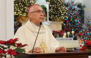 Bischof Daniel Fernández Torres / Bistum Arecibo