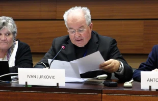 Der Nuntius, Erzbischof Jurkovic, während seiner Rede / Screenshot